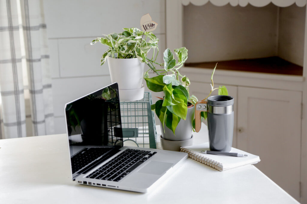 How Important Are Plants In A Minimalist Office Setup?